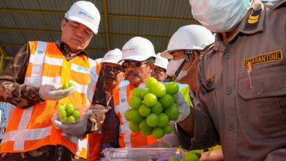 Perketat Pengawasan Karantina, Kepala Barantina Sidak TPK di Pelabuhan Tanjung Perak