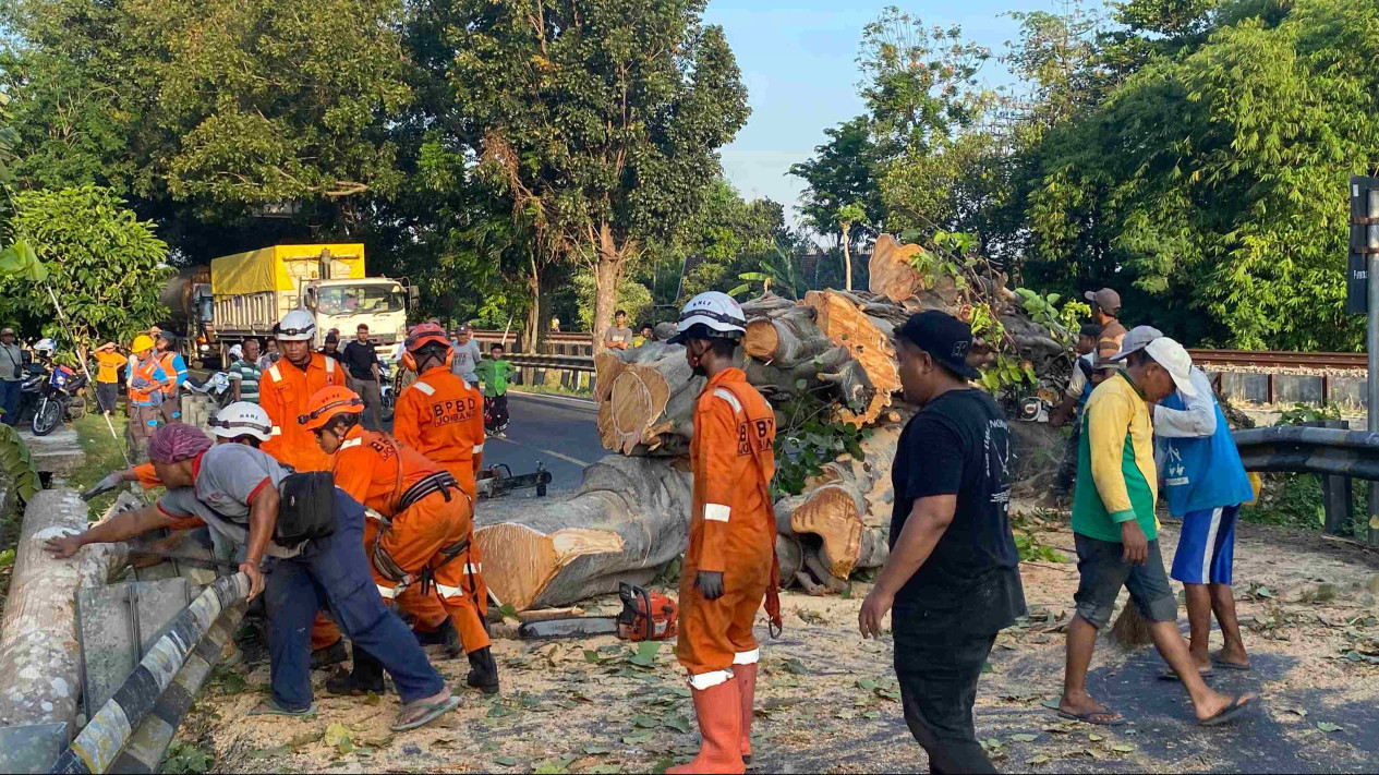Pohon Besar Tumbang di Jalan Nasional Jombang, Lalu Lintas Tersebat hingga Dua Jam
            - galeri foto