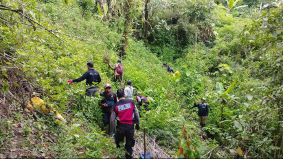 Viral Lagi Ladang Ganja di Taman Nasional Bromo, Dipastikan Kini Sudah di Pengadilan