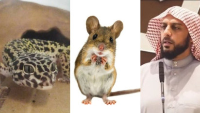 Jangan Sekali-kali Siksa Hewan ini di dalam Rumah agar Tidak Masuk Neraka, Syekh Ali Jaber Tegaskan Bukan Tikus dan Cicak