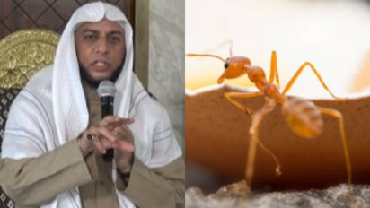 Langsung Dikasih Rezeki dan Zikir, Meski Sedikit Tolong Kasih Makan Hewan ini di Rumah Setiap Pagi Kata Syekh Ali Jaber