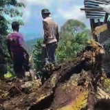 Sembilan Orang Tewas Tertimpa Pohon di Situs Bulu Matanre Soppeng, Ini Daftar Nama Korban