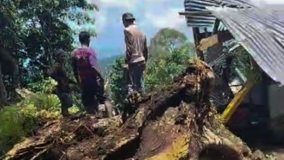 Sembilan Orang Tewas Tertimpa Pohon di Situs Bulu Matanre Soppeng, Ini Daftar Nama Korban