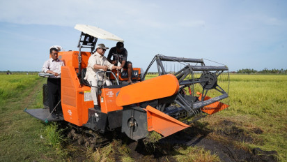 Petani Milenial Bisa Raup Penghasilan Rp10 Juta per Bulan, Kementan: Bisa Lebih Jika Dikelola dengan Sistem Modern