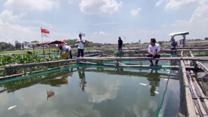 Sebanyak 12,7 Ton Ikan di Waduk Cengklik Boyolali Mati Terdampak Cuaca