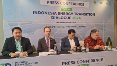 Penasihat Ekonomi Presiden Prabowo Sebut Energi Baru Terbarukan (EBT) Mampu Tarik Investasi ke Indonesia