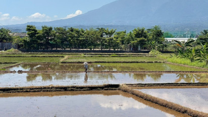 Menteri ATR: Dibutuhkan 3 Juta Hektar Sawah Baru untuk Swasembada Pangan