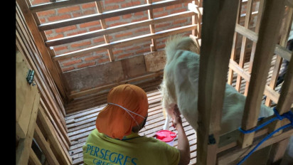 Peternak Susu Kambing Etawa di Jombang Siap Sukseskan Program Ketahanan Pangan