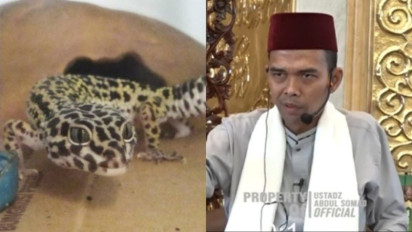 Tolong Mulai Sekarang Bunuh Cicak jika Masuk Rumah Setiap Malam Jumat, Ustaz Abdul Somad Sebut Anjuran Rasulullah SAW