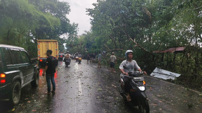Hujan Deras Disertai Angin Kencang, Sejumlah Pohon Berukuran Besar Bertumbangan di Kota Cimahi 