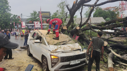 Hujan Deras dan Angin Kencang, Tiga Mobil Rusak Akibat Tertimpa Pohon di Jaktim
