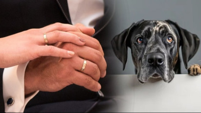 5 Perkawinan Manusia dengan Binatang, Ada Anjing hingga Kuda Poni, Meski Tak Masuk Akal tapi Pernah Terjadi