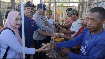 Dukung Program Ketahanan Pangan Nasional, Polisi di Buton Tengah Kembangkan Peternakan Ayam Desa