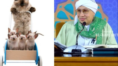 Jangan Sembarangan Gendong, Tolong Tak Perlu Pegang Kucing karena Ada Tanda-tanda ini Kata Buya Yahya