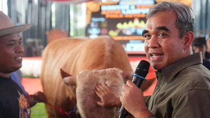 Ketua MPR Lelang Sapi Limosin Bobot 1 Ton, Hasilnya Disumbangkan untuk Korban Erupsi Gunung Lewotobi Laki-Laki