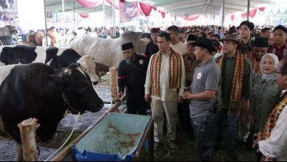 Mentan Amran Respons Cepat Keluhan Peternak Lampung soal Harga Daging Sapi