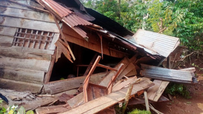 Teror Gajah Liar di Lampung, Puluhan Rumah Rusak dan Tanaman Warga Jadi Korban