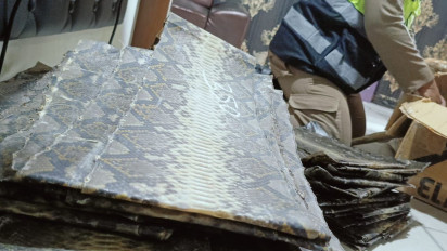Karantina dan KSKP Bakauheni Gagalkan Pengiriman Paket Berisi Ratusan Kulit Ular dan Biawak