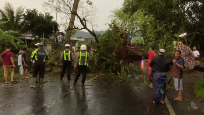 Hujan Deras, Pohon Tumbang di Jalur Trenggalek-Ponorogo Timpa 2 Pemotor
