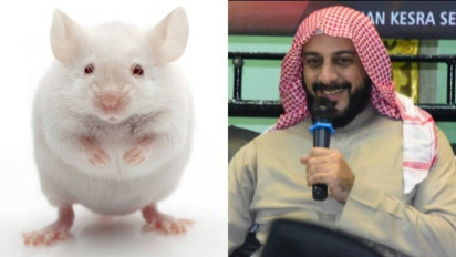 Bukan Tikus, Jika Hewan ini di Depan Rumah Tolong Jangan Diusir agar Dosa Diampuni dan Masuk Surga Kata Syekh Ali Jaber