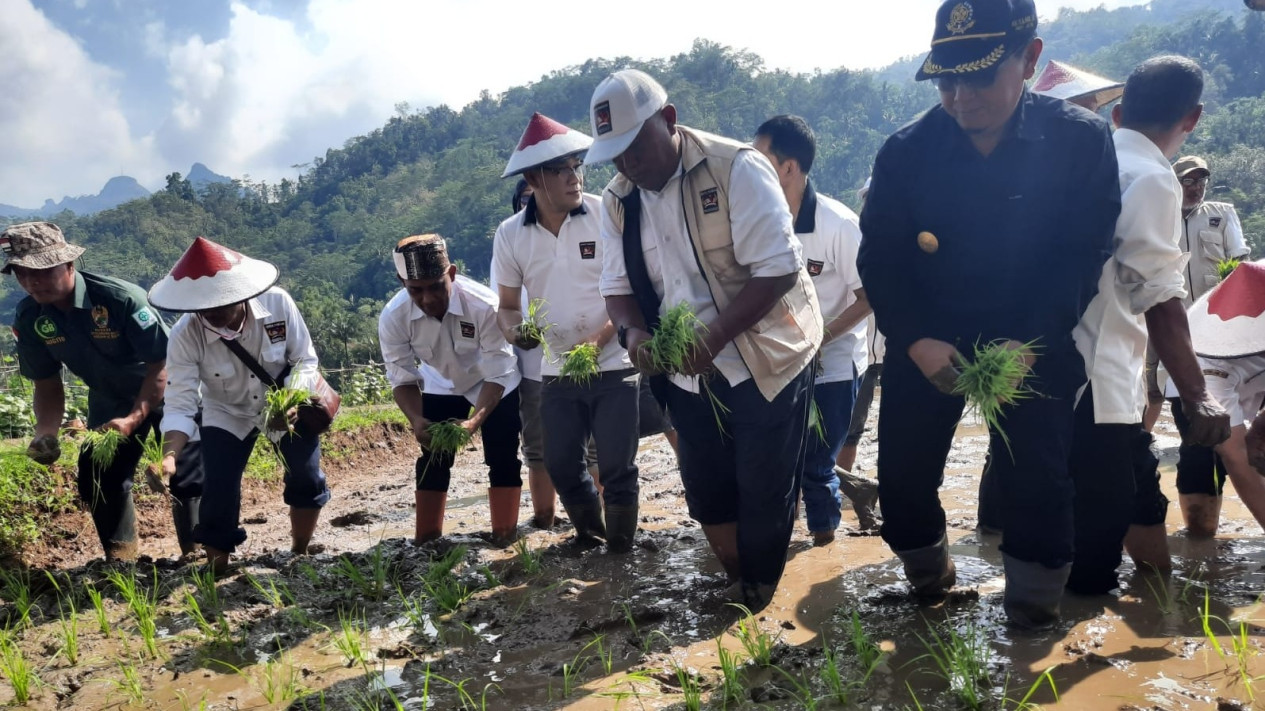 Entaskan Kemiskinan dan Ciptakan Ketahanan Pangan, BP Taskin Tanam Padi Unggul di Pacitan
            - galeri foto
