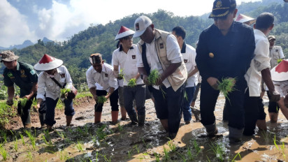 Entaskan Kemiskinan dan Ciptakan Ketahanan Pangan, BP Taskin Tanam Padi Unggul di Pacitan