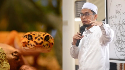 Kalau Cicak Selalu Muncul dalam Rumah Tolong Perbanyak Istighfar, Penyebabnya Kata Ustaz Adi Hidayat Ada Tanda...