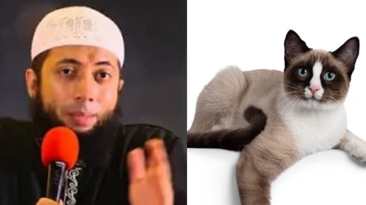 Tolong Sebaiknya Jangan Pelihara Kucing dalam Rumah, Meski Lucu dan Menggemaskan Kata Ustaz Khalid Basalamah Ternyata Bisa...
            - galeri foto