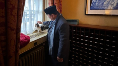 Prabowo Unggah Momen Elus Larry the Cat, Kucing di Kantor PM Inggris