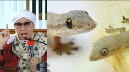 Sebenarnya Bunuh Cicak atau Tokek di Rumah dalam Islam Sunnah atau Wajib? Buya Yahya Tegaskan Anjuran Ulama Sebaiknya ....