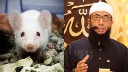 Kalau Tempat Tinggal Kita Tiba-tiba Banyak Tikus Tolong Perbanyak Istighfar, Kata Ustaz Khalid Basalamah Ada Tanda...