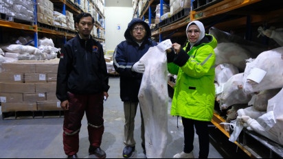 Daging Domba Impor Rugikan Peternak, Kementan Sidak 13 Gudang Importir Daging