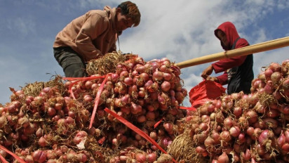 Harga Pangan 25 November 2024 Naik, Bawang Merah Jadi Rp38.740 per Kilogram