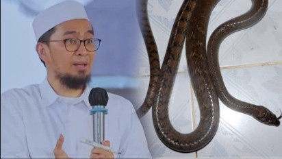 Tolong Jika Ada Ular di Rumah Jangan Langsung Dibunuh, Ustaz Adi Hidayat Ungkap Hukumnya dalam Islam, Ternyata