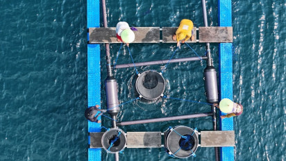 Dukung Aturan Menteri Soal Budidaya Lobster Berkelanjutan, PT Idovin Aquaculture International Apresiasi Penelitian Fikom Unpad