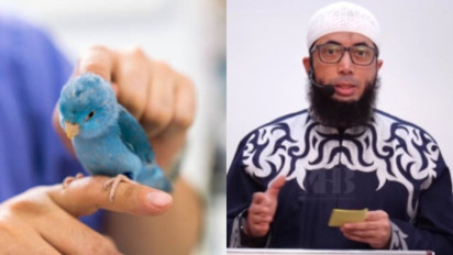 Mulai Sekarang Jangan Pelihara Burung meski Suaranya Bikin Candu di Pagi Hari, Ustaz Khalid Basalamah Sarankan Rawat...