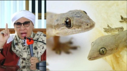 Jangan Lagi Bingung soal Bunuh Cicak di Rumah, Kata Buya Yahya Ada Anjuran Ulama yang Mengatakan Sebaiknya ....