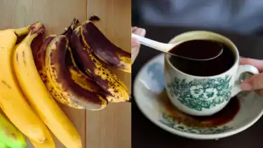 Tolong Campurkan Pisang dengan Cairan ini kata dr Zaidul Akbar lalu Silahkan Dikonsumsi, Manfaatnya Luar Biasa bagi Tubuh