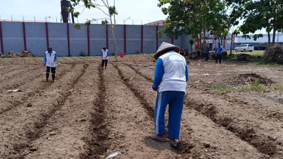 Dukung Ketahanan Pangan, Lapas Kelas I Surabaya Tanam Bibit Jagung