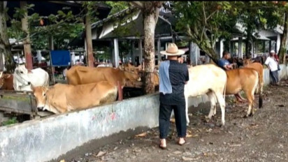 Kementan Beri Kabar Buruk di Lumajang Jawa Timur, Ternyata...