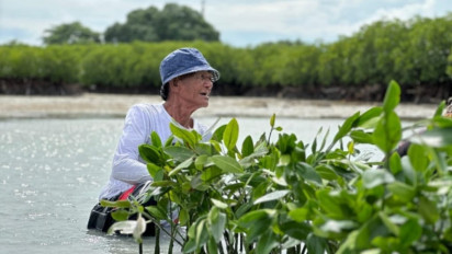 Kurangi Emisi Karbon, Pertamina Regional Jawa Tanam 95.000 Pohon
