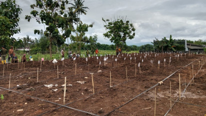 Terdampak Proyek Jalan Tol Yogya-Bawen, 391 Makam di Pemakam Si Jambu Sleman Selesai Direlokasi
