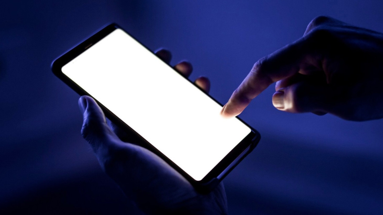 Jelang Pekan Pencairan THR Lebaran, Hati-Hati Ada Dua Modus Penipuan Digital yang Harus Diwaspadai: Phishing dan Malware
            - galeri foto