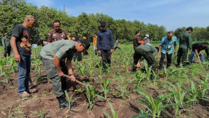 Hadapi Pemanasan Global, KPH Madiun Gencar Reboisasi Ratusan Hektar Hutan dengan Satu Juta Pohon
