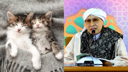 Walau Gemas dan Imut-imut, Mulai Sekarang Jangan Biasakan Peluk Kucing agar Hindari Hal ini Kata Buya Yahya