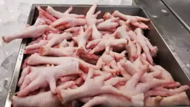 Ilustrasi Ceker ayam, bahan makanan yang mengandung kolagen untuk kulit