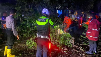 Pemotor Luka Parah Tertimpa Pohon Tumbang di Jalur Trenggalek - Ponorogo