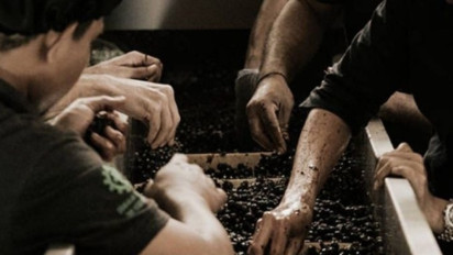 Tinjau Industri Minuman Beralkohol, Komisi VII DPR Dorong Pemerintah Gencarkan Riset Anggur Lokal: Sebagian Bahan Produksi Wine Masih Impor