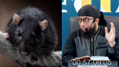 Mulai Sekarang Jangan Diam saat Hewan ini Masuk Rumah, Meski Menjijikkan Bawa Tanda Dosa Kata Ustaz Khalid Basalamah