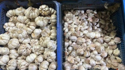 Harga Pangan Hari Ini 12 Agustus 2026: Bawang Merah Rp39.400 per Kilogram hingga Bawang Putih Rp40.650 per Kilogram